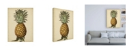 Trademark Global George Brookshaw Brookshaw Antique Pineapple I Canvas Art - 36.5" x 48"